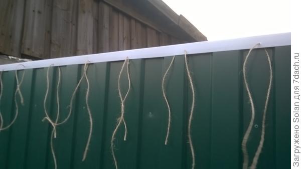 надела ее на забор. В отверстия протянула обрезки шпагата.