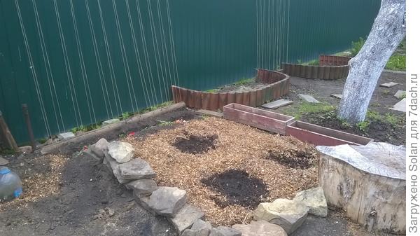 здесь немного видно результат. Фасоль вилась отлично! Конструкция пережила зиму. С нашими ветрами, причем! Очень рекомендую!