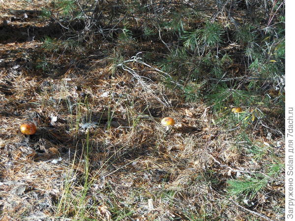 красиво же!))))