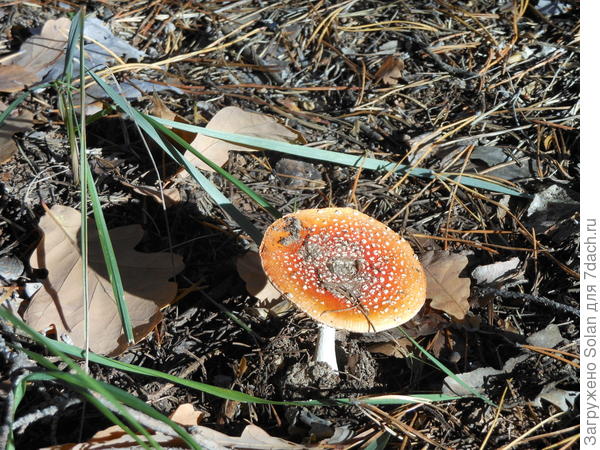 Хотя больше меня привлекали эти)))