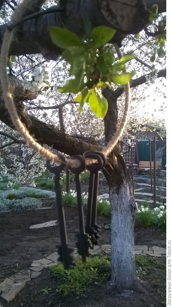 сейчас, когда листьев много, по-другому смотрится.