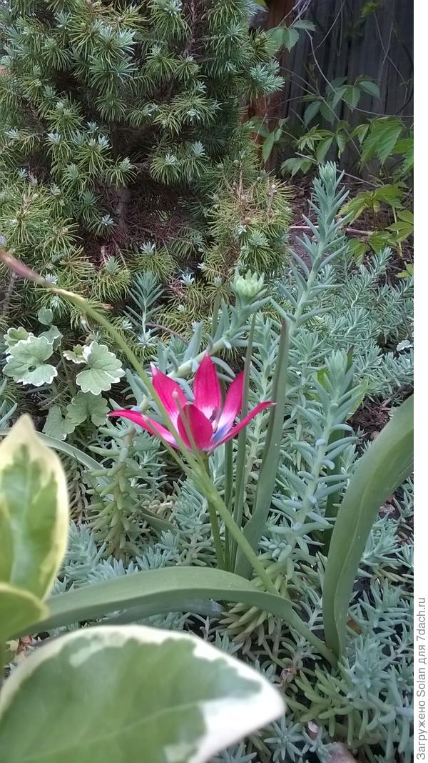 моя коронованная особа)))