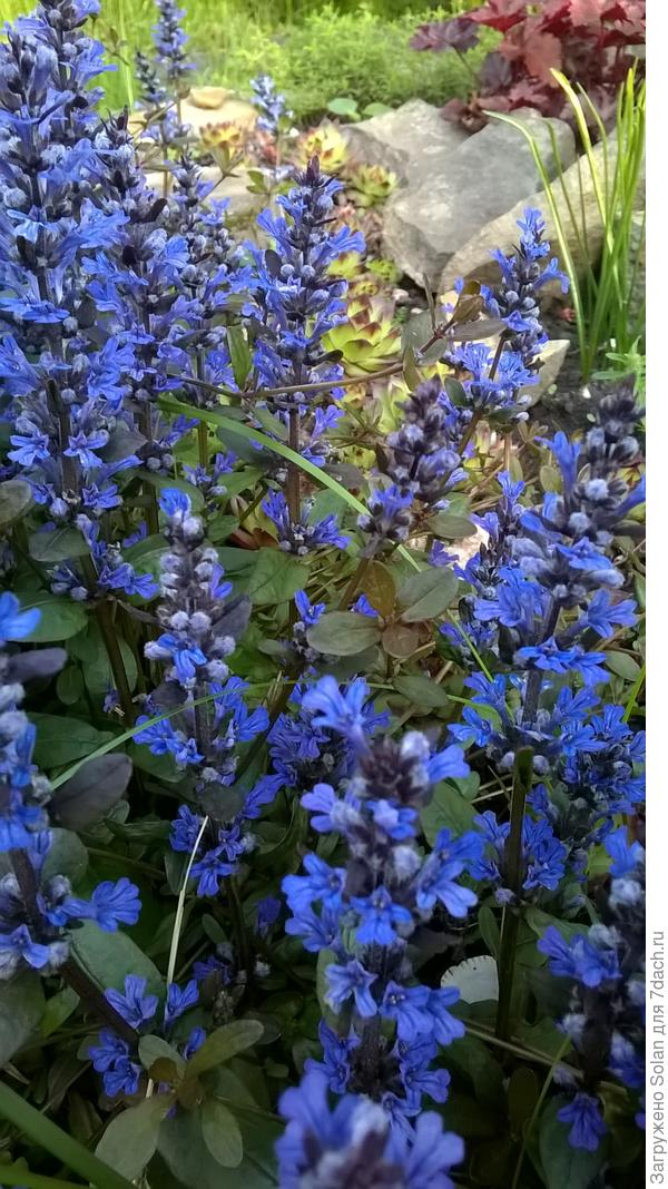 поздравляю)))