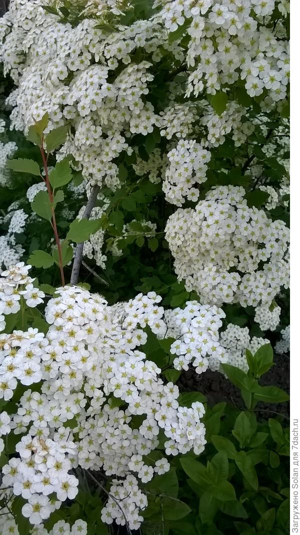 я в полном восторге!!!