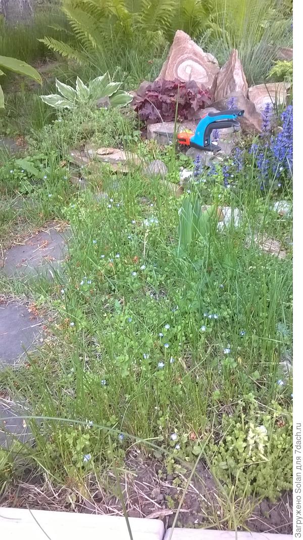 специально сделал фото ДО стрижки