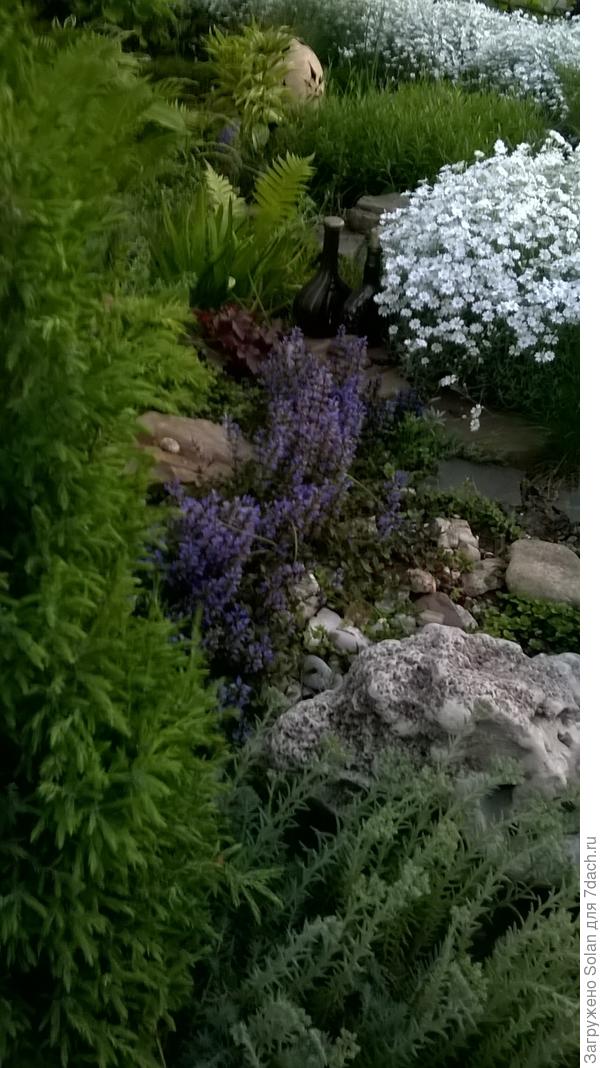 сегодня ей больше понравилась эта фотография