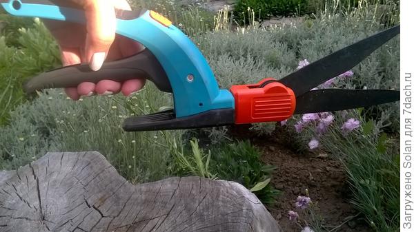 рука остается в том же положении, но теперь Вы можете стричь боковинки. Мне кажется , эта функция прлезна людям, у которых нарушена гибкость и подвижность кистевого сустава Я этой функцией не пользуюсь, мне и так удобно. Но, не сомневаюсь что кому-то это покажется удобным Тут же дело выбора, наверное?