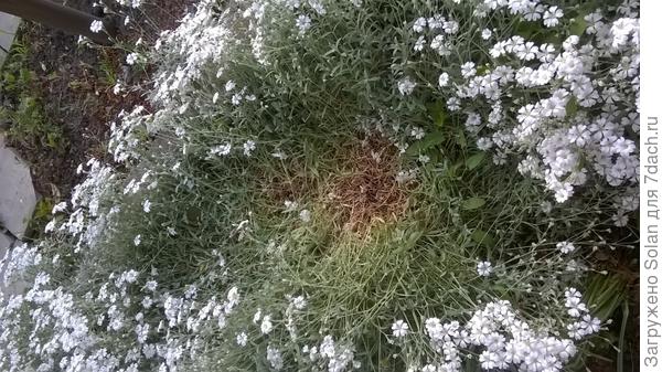 заметила в ясколке такие лежанки.