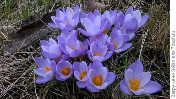 А пока - возьмите мои))))