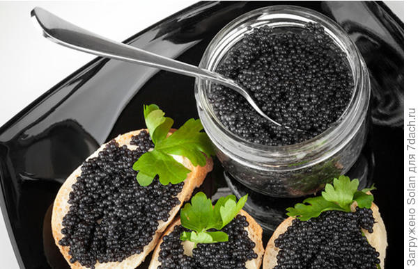 пробовала два раза в жизни и , к сожалению, выяснилось, что люблю((((