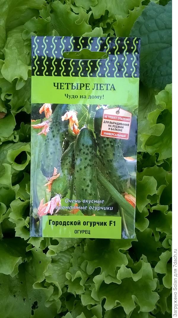 огурец