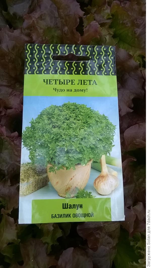 базилик