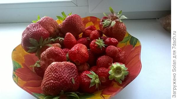 не ведро, конечно....но, зато уже своя))))))