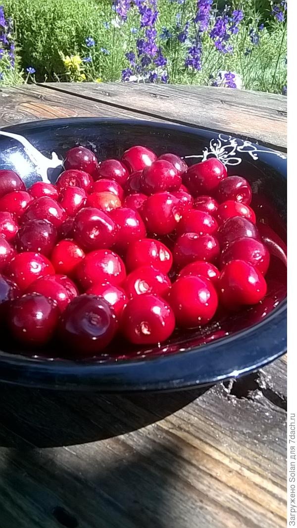 вот Вам в гостинчик от нашего лета - спелая черешня. Она не самая крупная, но ОЧЕНЬ сладкая))).