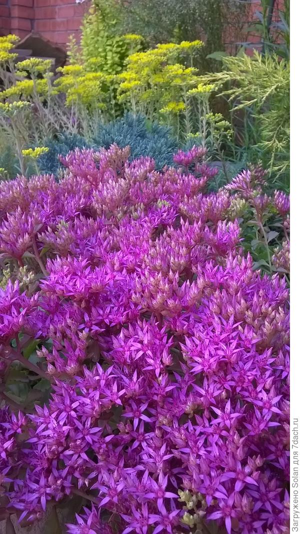 Маяковский сказал:&laquo;В горящее сердце нельзя в сапожищах!!! В горящее сердце надо в ЛАСКАХ!&raquo; Я сейчас в ласках к тебе подошла.