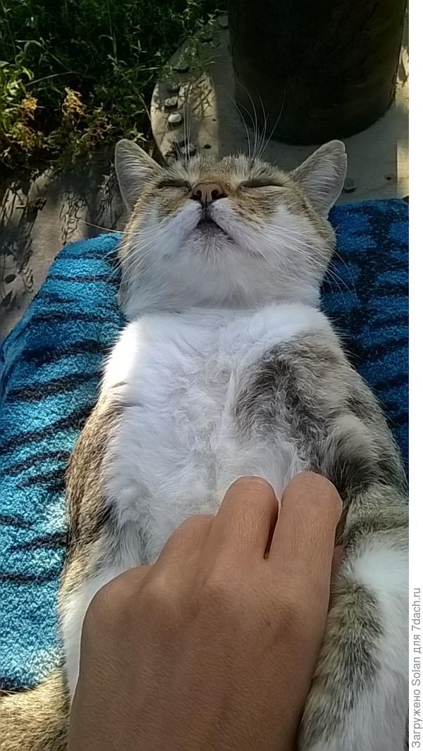 просто, он шел ВНЕ конкурса:))))))