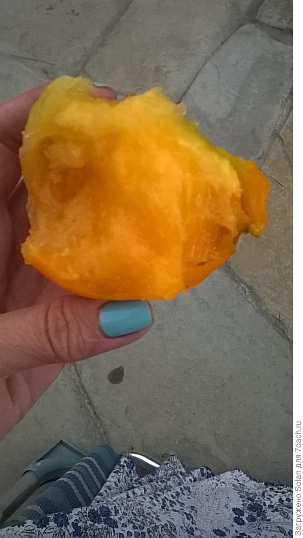 это - маленькие. Видишь - почти нет камер))