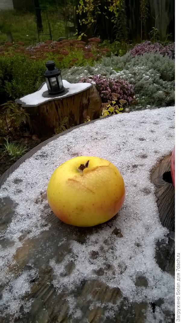 Инна, дарю тебе последнее в жтом году яблочко))))). Будь счастлива, будь любима, люби сама, радуйся жизни, семье, друзьям, общению! Поздравляю тебя с огромным удовольствием!