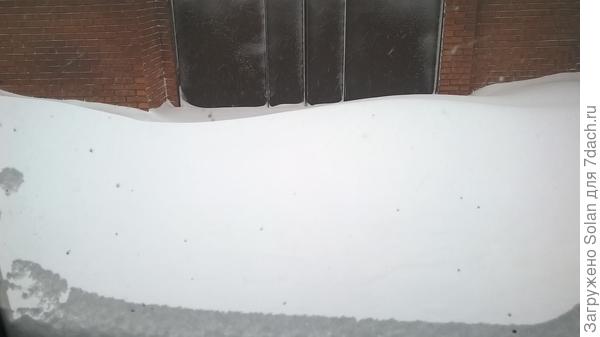 Выглянула в окно)))))))