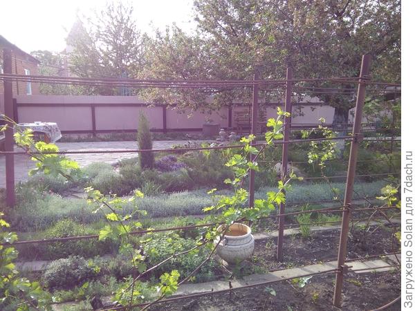 Попыталась сделать несколько фото шпалер под виноград. Их же можно и под клематисы переделать.