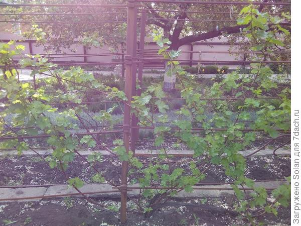 Горизонтальные пруты арматуры легко снимаются на хранение.