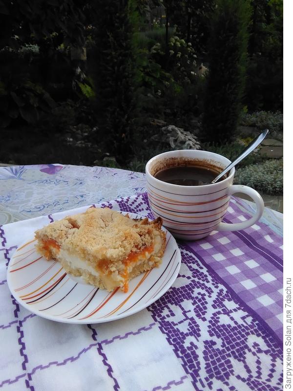 У нас с котом десерт на ночь глядя)))) Сегодня перепали абрикосы от родни)