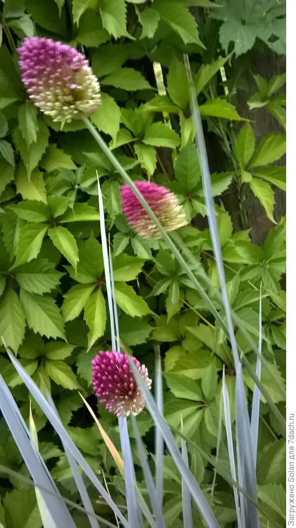 И чего я от них три года отбрыкивалась?..