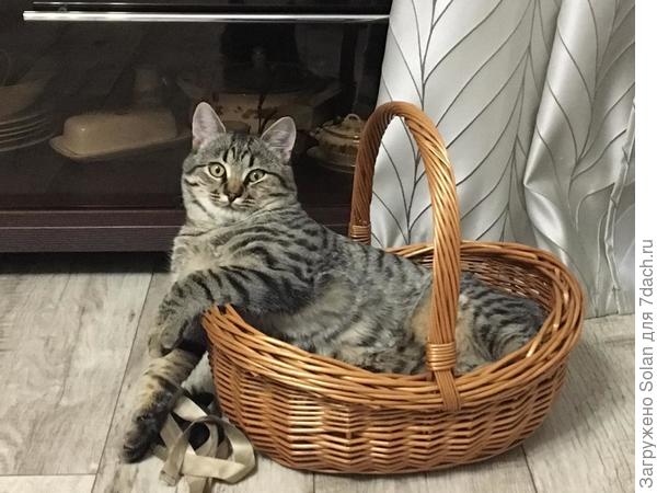 а потом - можно и отдохнуть! Наработался на морозце)))