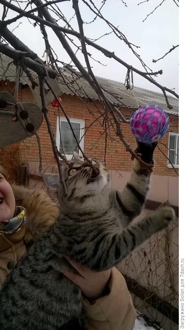 Родственница подавала Проньку, а он - шарики вешал))