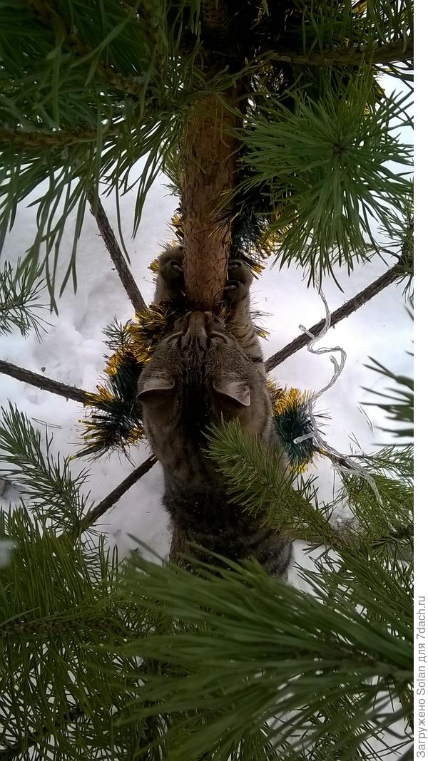 Проверял на прочность конструкцию.