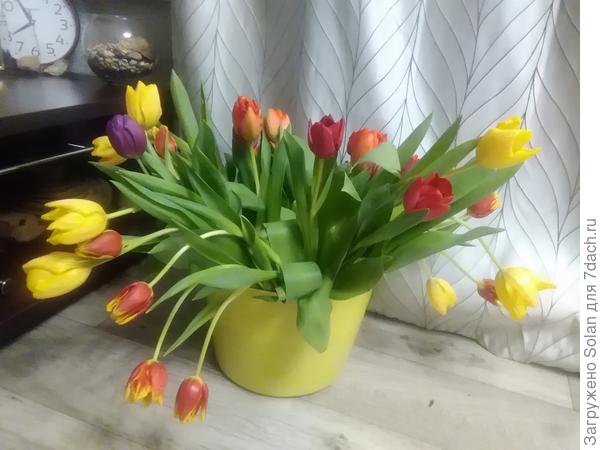 Правда, в качестве вазы-ведро, но это-неважные частности!)))