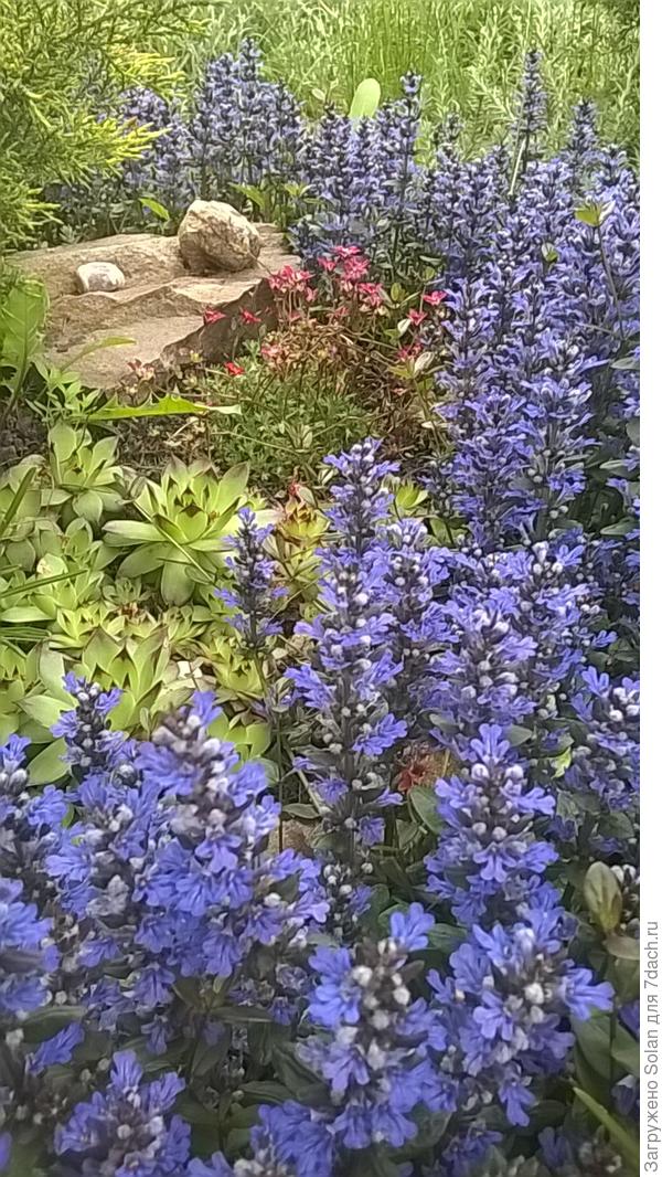 Спасибо))), я подожду!