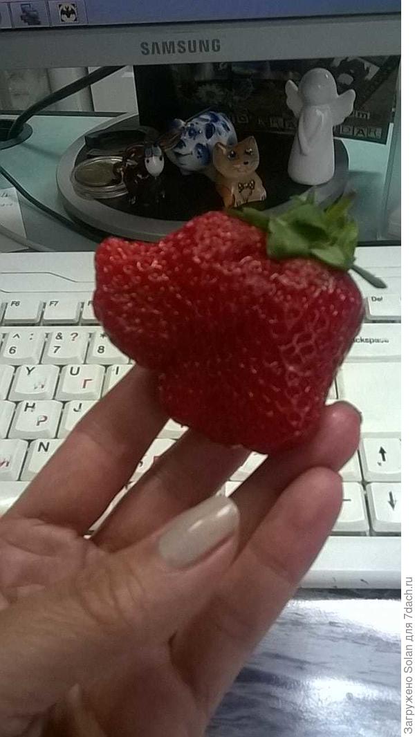 вот такой слоник с хвостиком)))