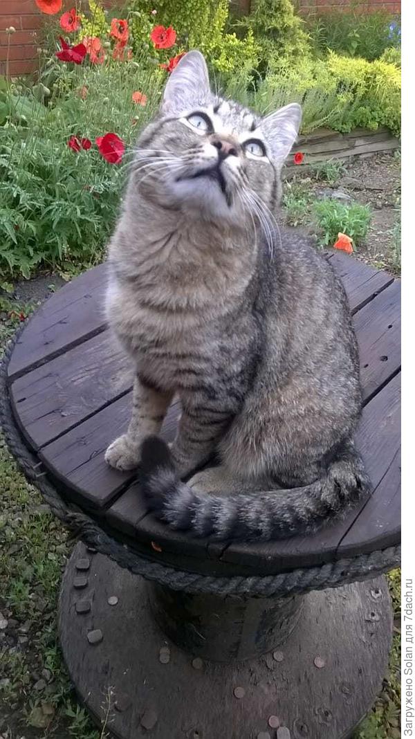 а как отказать?)))))