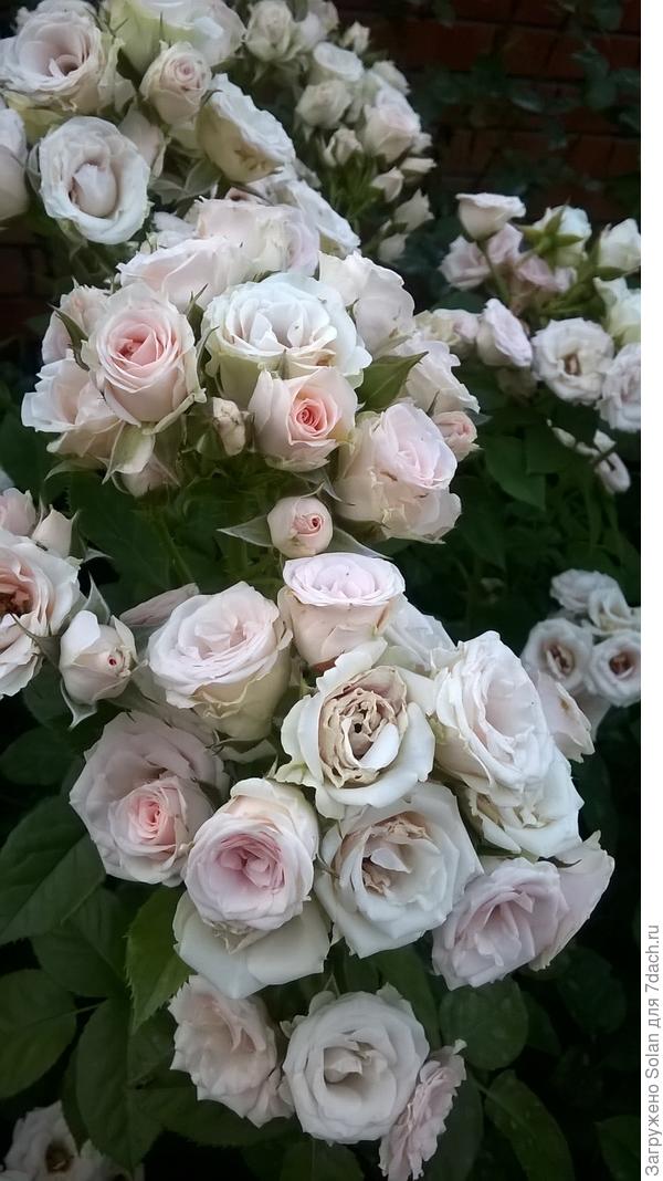 Василий, пусть Ваш день будет наполнен теплом, любовью и радостью! С днем рождения!