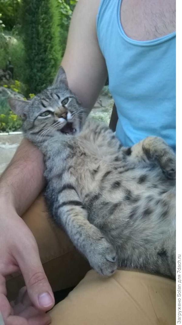 э-вЭплыва-а-а-а-аютЬ расписны-ы-ы-ы-я Стеньки Ра-а-а-аазина чАлны! )))))))))