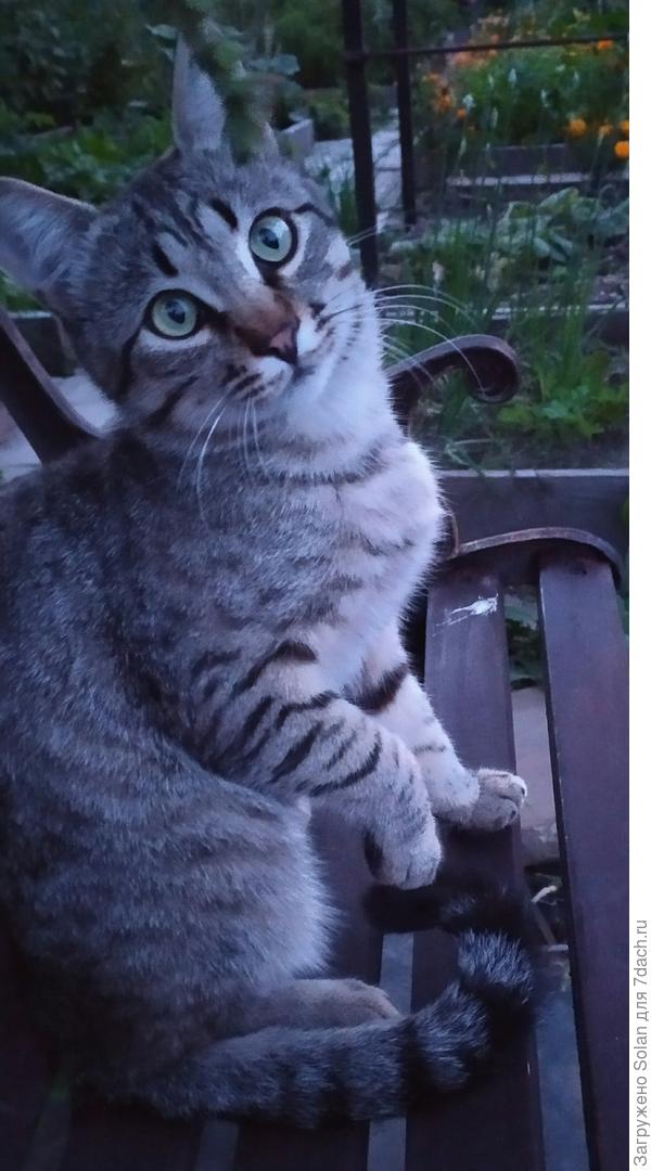 ...и вечером)