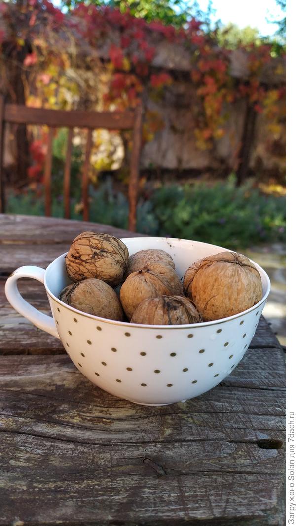 Кофе выпил, но не идти же домой с пустой чашкой)))))