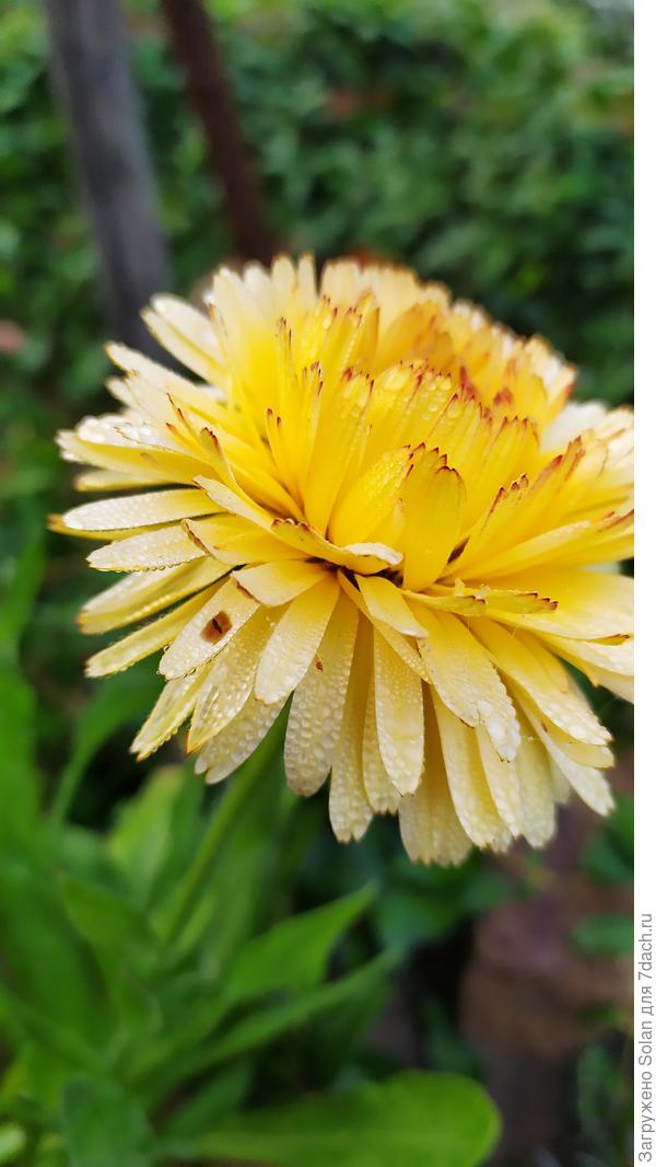 Вот тут видно немного.