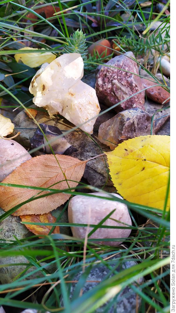 Света, твои камушки еще в свободном выгула! Похолодает, заберу домой на зимовку)))