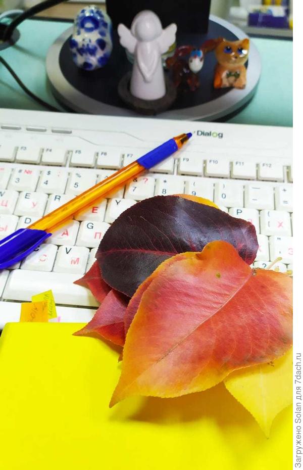 сама себе подарок организовала. Вот, делюсь))