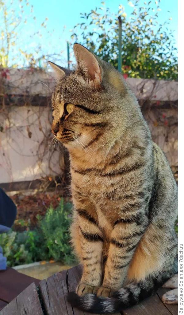 обожаю эту &quot;дворянскую&quot; братию)))))