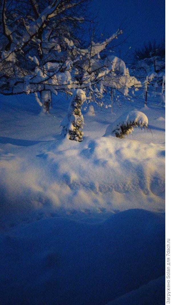 утром сегодня