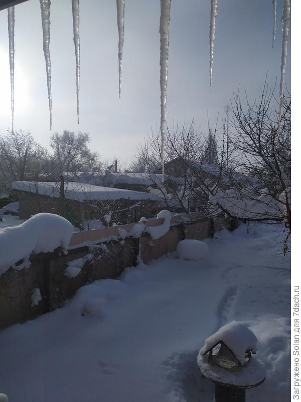 Похожий , погожий денёк и у нас)))). Ослепительное солнце, падает редкий снежок, синицы уже съели свой завтрак и, цепляясь лапками за сосульки , заглядывают в окно кухни)).