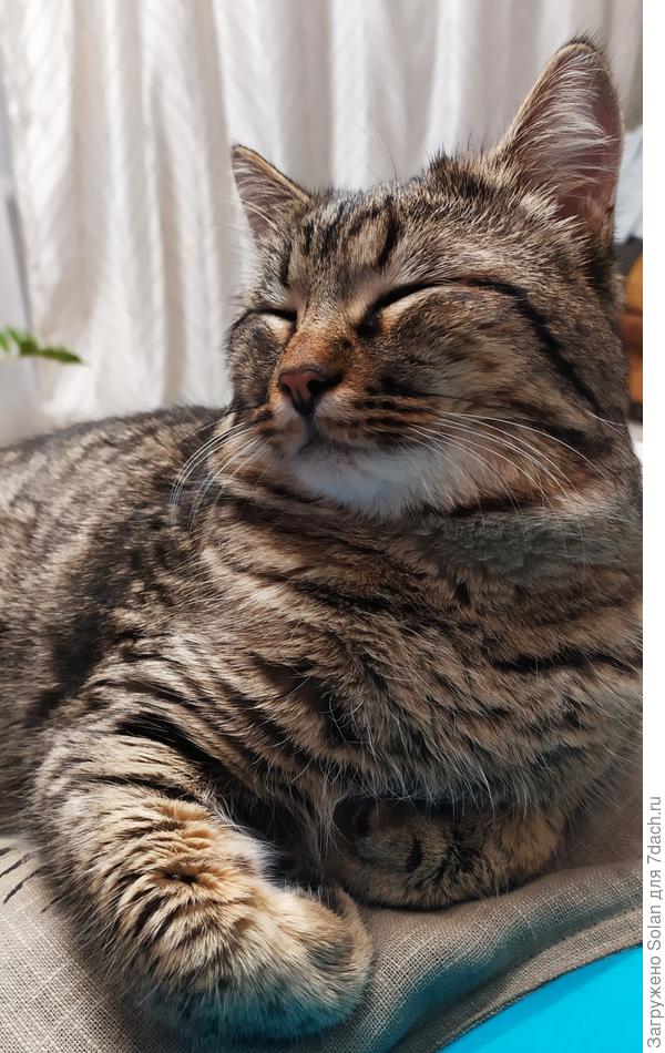 Зацелован в хвост всеми членами семьи))))