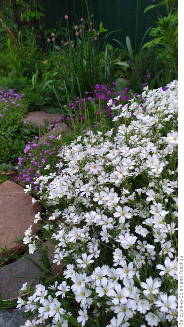 Дорогая Рушаночка! Славная, интеллигентная, умная, отзывчивая и очень милая))))))- от души желаю Вам счастья! Какое счастье, когда в окружении много таких теплых и хороших людей! Не обязательно быть ярким солнцем или мощным прожектором, чтобы освещать  мир вокруг себя!