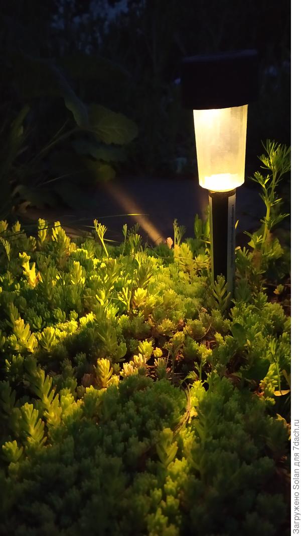 Иногда и скромный фонарик может обыденное сделать волшебным... Вы, как раз, из таких. Я очень рада знакомству с Вами! Поздравляю с днём рождения от всей души!