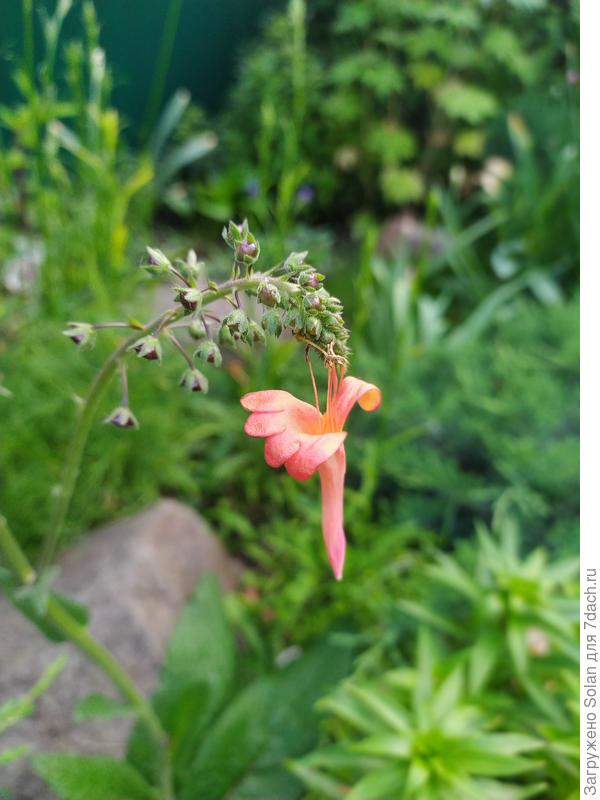 Невероятность))))).