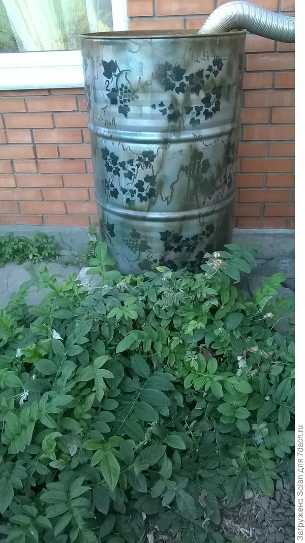моей уже 7 лет. Была ярко-красная &quot;вырви глаз&quot;))). Снизу приварен кран и установлено пластиковое строительное корыто, из которого черпаем воду. Здесь старое фото, сейчас бочка стоит на &quot;ножках&quot;)). Красила серебрянкой и акриловой краской рисовала виноград&quot;. Ваши смотрятся куда интереснее и ярче!