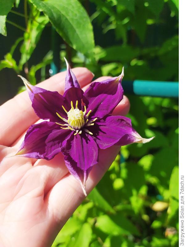 Это правило- чистая правда!!!! Нужно только внимательно посмотреть!